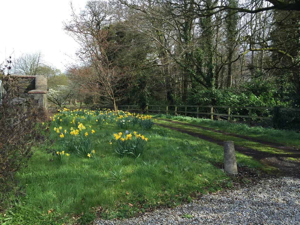 Townley Hall Apartments Slane Rom bilde